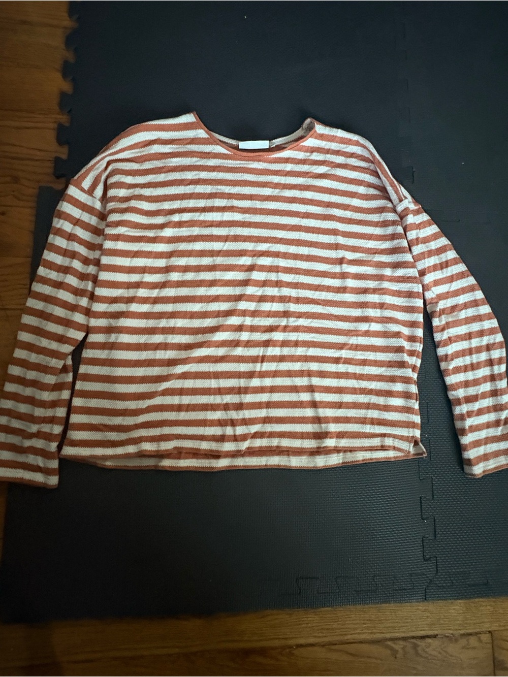 Passenger Panorama Striped Long-Sleeve Tee in Rust and White Size L